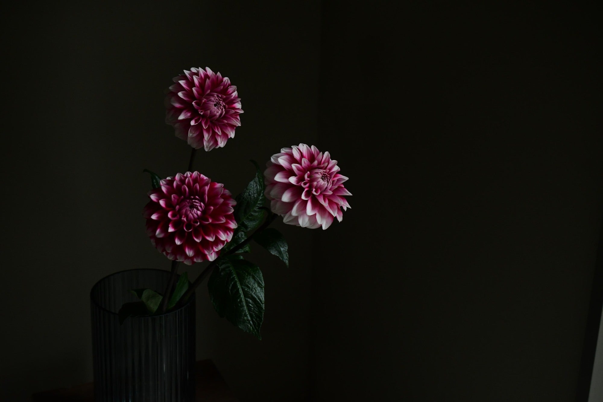 季節の花々