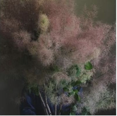 季節の花々と空間のスタイリング